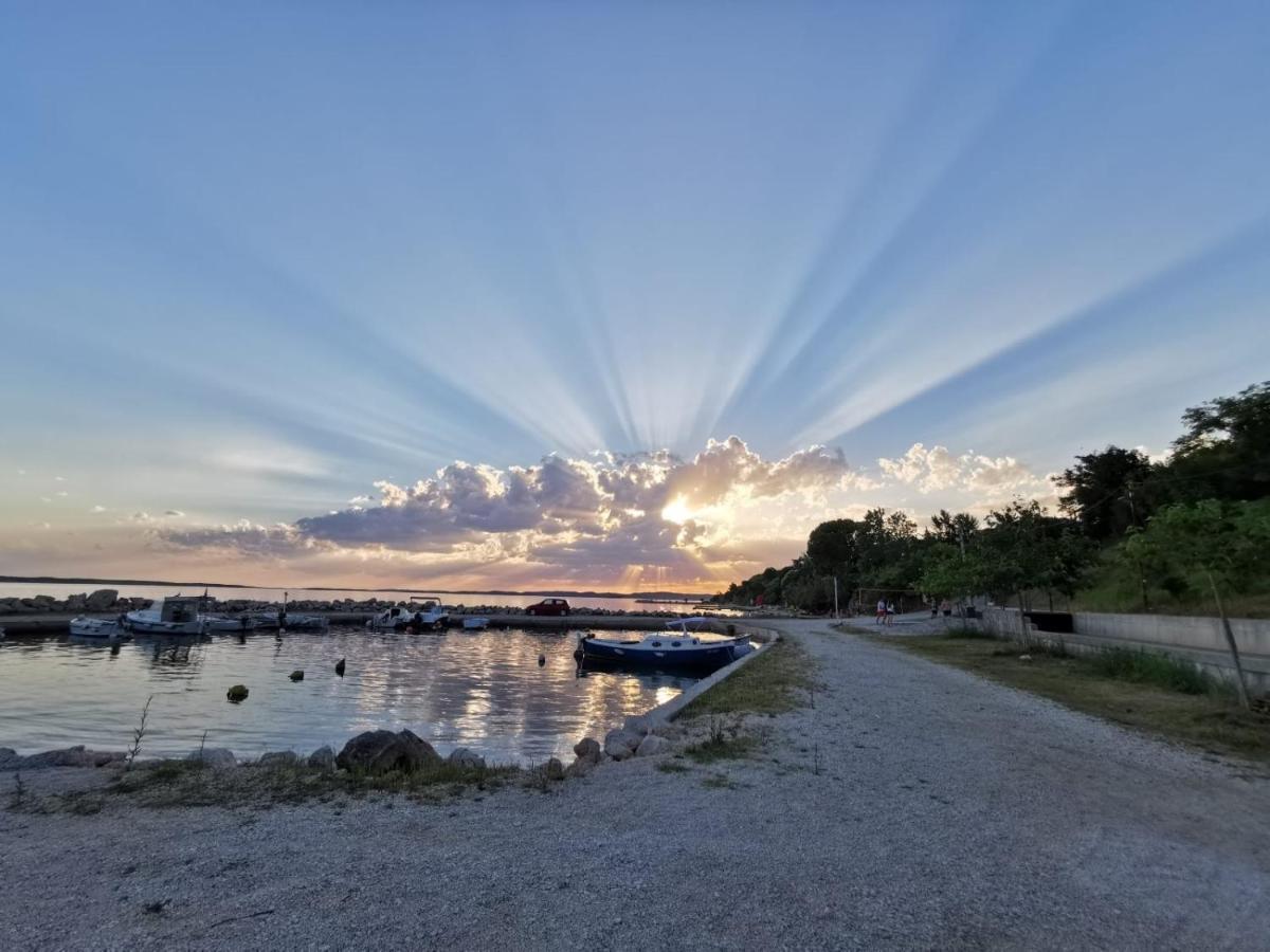 Family Friendly Apartments With A Swimming Pool Rtina - Stosici, Zadar - 21450 Eksteriør billede